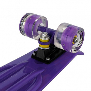Penny board (пенни борд) RGX 202 PNB-07 22" LED