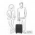 Чемодан Samsonite Darts CW5*01 001