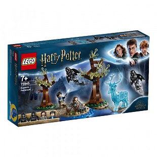 Конструктор LEGO Ninjago Экспекто Патронум! 75945