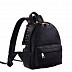 Женская сумка Pola 74521 black