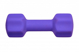 Гантель неопреновая Bradex 4 кг SF 0544 purple