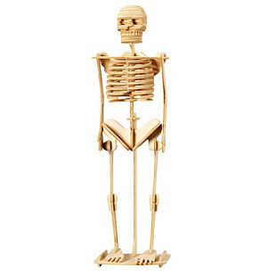 Набор для сборки Haiyuanquan Скелет человека G-P076