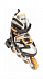 Роликовые коньки Atemi AJIS-04 Orange