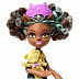 Куклa Monster High мини FCV65 FCV66