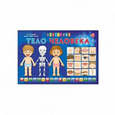 Викторина для малышей Рыжий Кот Тело человека ИН-8520