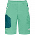 Шорты женские Jack Wolfskin Overland Shorts W pacific green