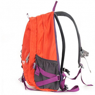 Рюкзак Polar П1609 red