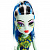 Куклa Monster High Большой кошмарный риф DHB57 DHB55