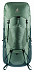 Рюкзак Deuter Aircontact Lite 60+10 SL 3340621-2264 aloe/forest (2021)