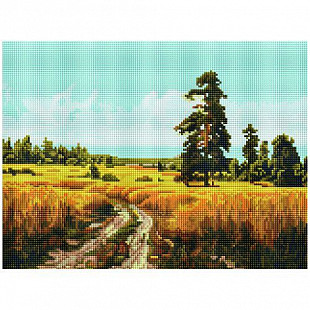 Алмазная мозаика Picasso "Дорога через поле" PD3040014