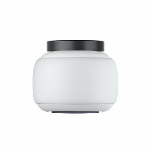 Экшн камера Insta360 GO 2
