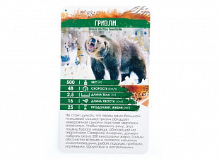 Настольная игра Стиль Жизни Секреты планеты. Хищники 321146