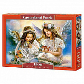 Пазл Castorland 1500 151394