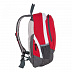 Рюкзак Polar ТК1015 red