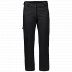 Брюки женские Jack Wolfskin Activate Thermic Pants Women black