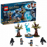 Конструктор LEGO Ninjago Экспекто Патронум! 75945