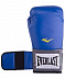 Перчатки боксерские Everlast Pro Style Anti-MB 2214U blue