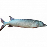 Мягкая игрушка Мнушки Щука АБ000065