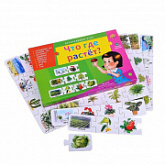 Ассоциации цепочкой Рыжий Кот Что где растет ИН-9926