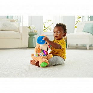 Игрушка интерактивная Fisher Price Ученый щенок FPN77