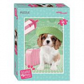Мозаика Step Puzzle Мирна Studio Pets By Myrna 60 81172