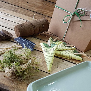 Подарочный набор Mini-garden-Box №28