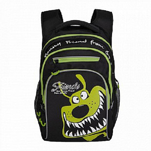 Рюкзак школьный GRIZZLY RB-050-4 /2 black/light green