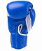 Перчатки боксерские KSA Wolf blue