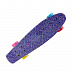 Penny board (пенни борд) RGX PNB-04 22" Violet Penny board (пенни борд) RGX PNB-04 22" Violet