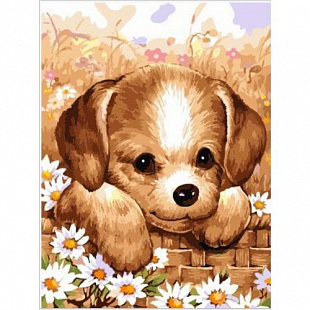 Картина по номерам Picasso Щенок в лукошке PC3040008