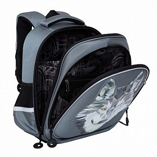Рюкзак школьный GRIZZLY RAz-087-3 /1 black