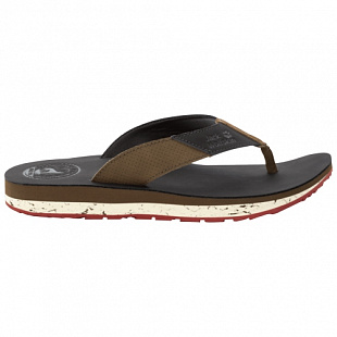 Вьетнамки мужские Jack Wolfskin Beachster Lt M espresso / rocky brown