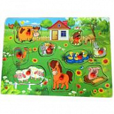 Игрушка развивающая деревянная Chuang Heng Toys 277A-2743
