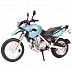 Масштабная модель мотоцикла Maisto 1:18 BMW F 650 GS (39300)