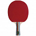 Ракетка для настольного тенниса Motion Partner MP222
