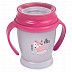 Поильник-непроливайка Lovi 360° Indian Summer 210мл 9м+ 1/585new Grey/Pink