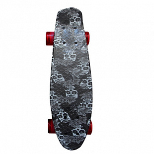 Penny board (пенни борд) Explore Kroos 22'' Skulls/Black