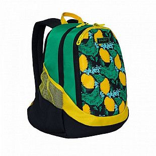 Школьный рюкзак GRIZZLY RD-953-4 lemons