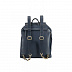 Рюкзак Samsonite Satiny CA1-41005 Blue