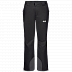 Брюки мужские Jack Wolfskin Powder Mountain Pants M black