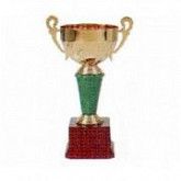 Кубок А2 24 см