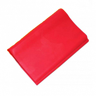 Лента гимнастическая Zez Sport 1515-65 Red