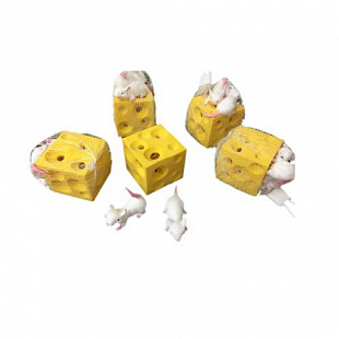 Набор "Поймай мышонка" Qunxing Toys 80-9591