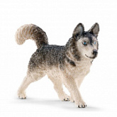 Фигурка животного Schleich Хаски 16835