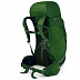 Рюкзак Osprey Kestrel 48 S-M Jungle Green