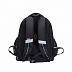 Рюкзак школьный GRIZZLY RAz-087-6 /1 black