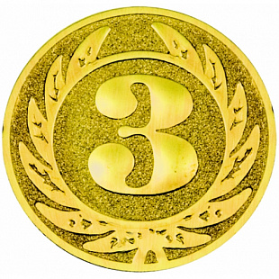 Вкладыш 20 шт Место 3 bronze