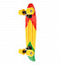 Penny board (пенни борд) Maxcity X1 Small Color