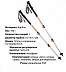 Треккинговые палки BTrace Carbon DLX