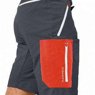 Брюки мужские Jack Wolfskin Overland Shorts M ebony